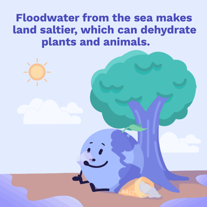 Image of Adapting to saltier environments