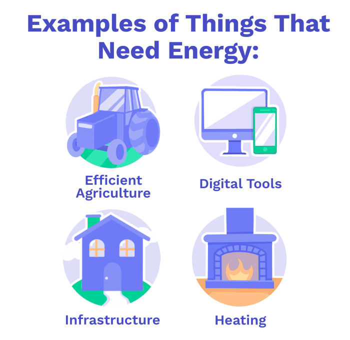 Image of Examples of things that need energy