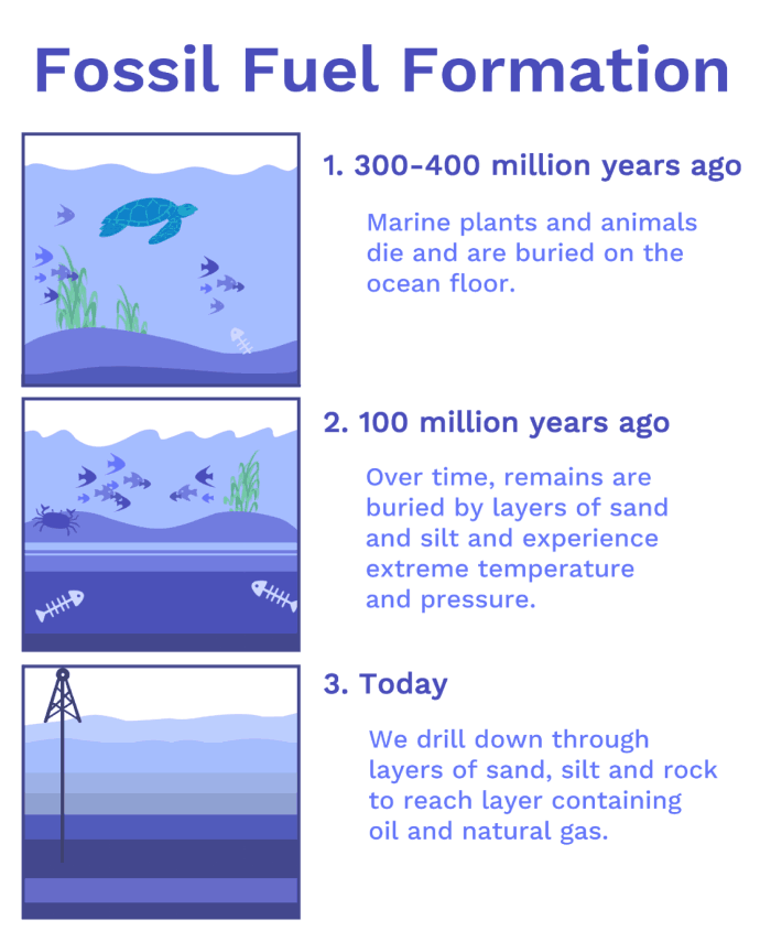 Image of How fossil fuels are created