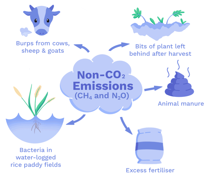 Image of Non-CO₂ emissions in agriculture