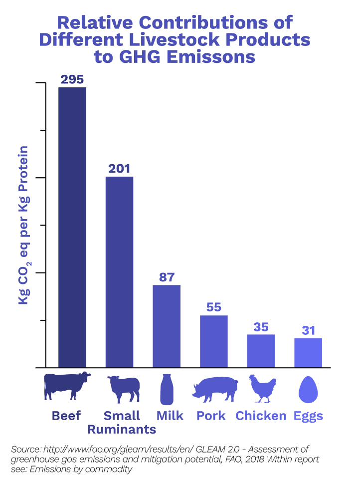 Image of Contribution of different animal products to emissions