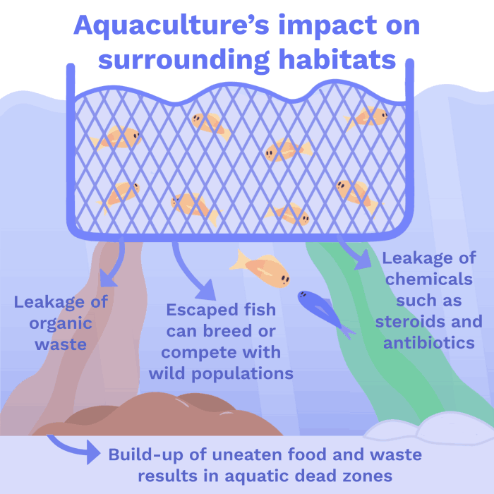 Image of Aquaculture’s impact on surrounding habitats