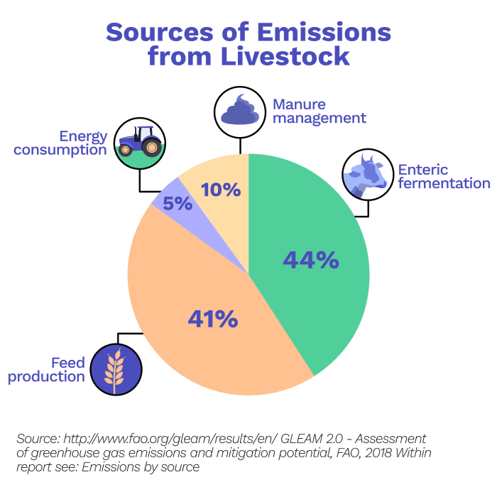 Image of Emissions from livestock: Sources