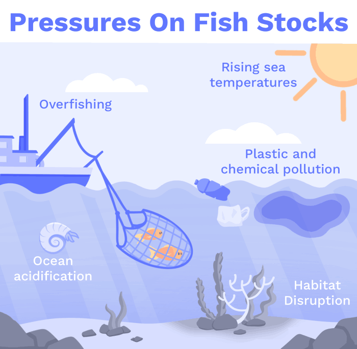 Image of Pressures on fish stocks