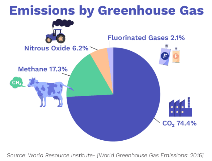 Greenhouse Gases What Is Warming Up Our Earth