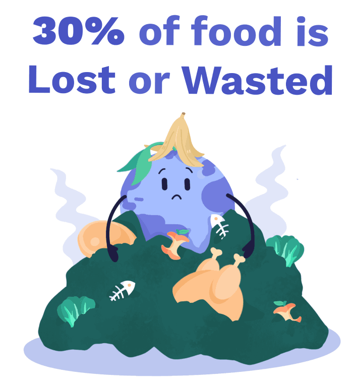 stop wasting food