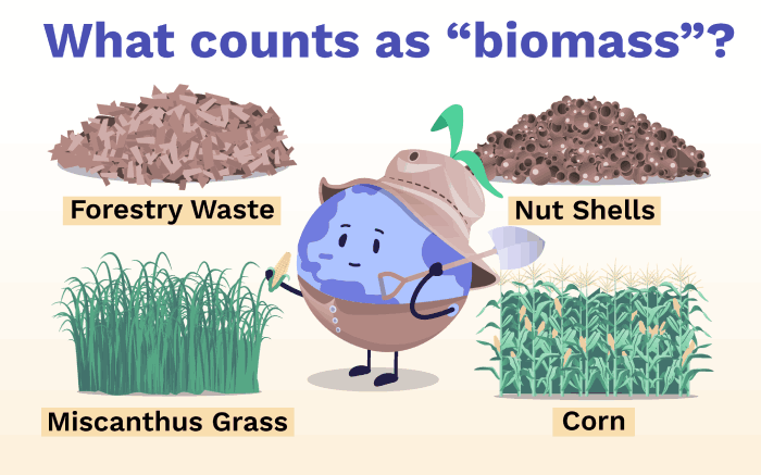 biomass examples