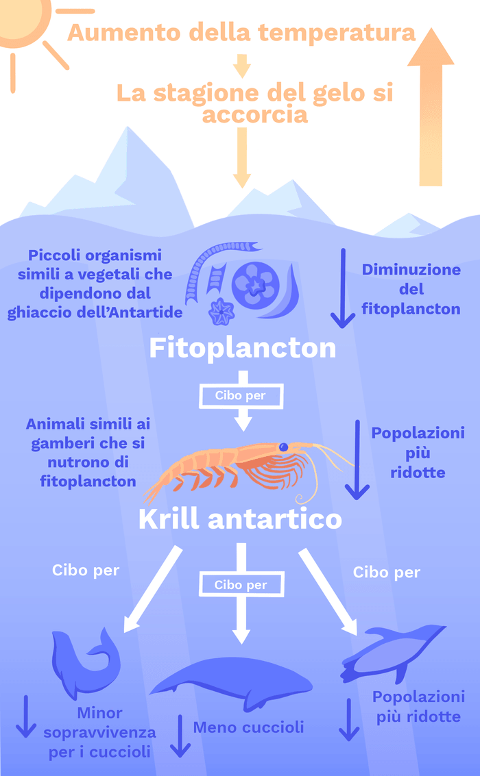 piramide dell’energia oceanica