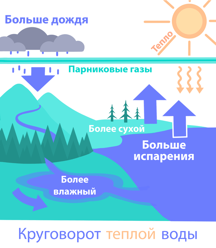 Откуда берется вода на земле