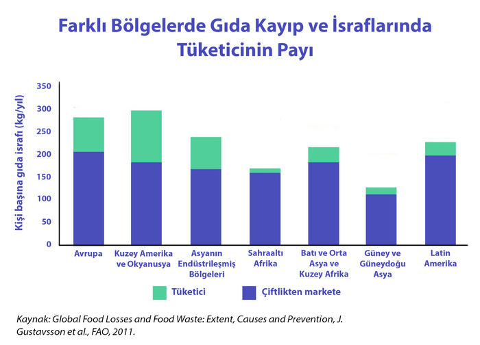 Gıda İsrafı: Yiyeceklerimizin %30'unu İsraf Etmeyi Durdurmalıyız ...