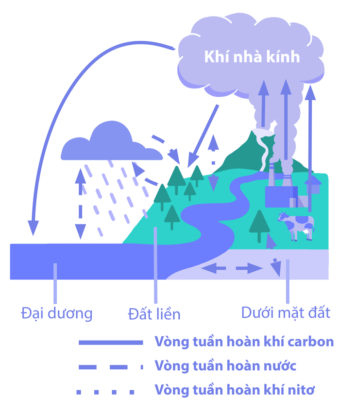 CÔNG TY TNHH TƯ VẤN VÀ CÔNG NGHỆ MÔI TRƯỜNG XANH