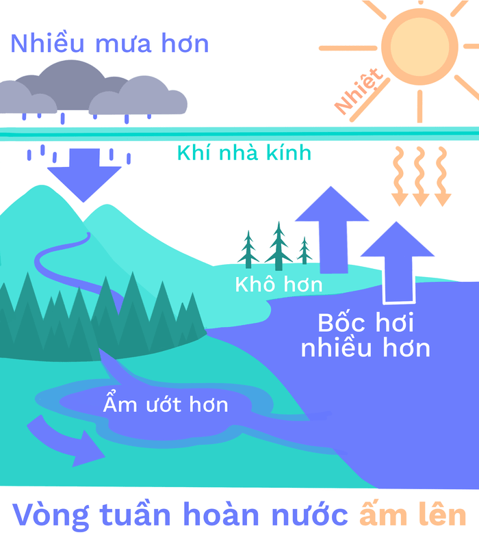 Nước tuần hoàn: Hiểu thêm về quá trình nước tuần hoàn trong tự nhiên và tầm quan trọng của sự cân bằng nước trên trái đất. Hãy xem hình ảnh để tìm hiểu thêm về vấn đề này.