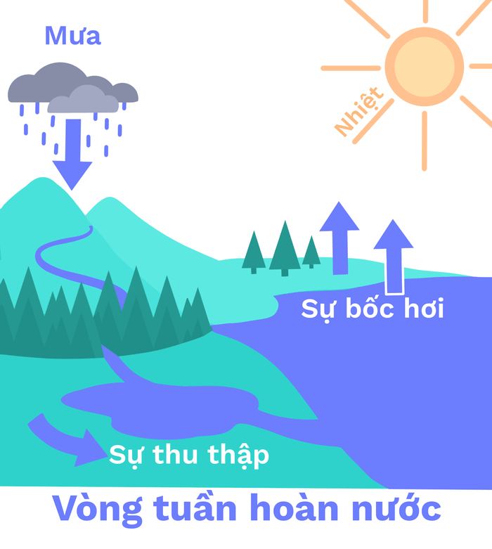 Vòng tuần hoàn của nước là một quá trình vô cùng quan trọng trong tự nhiên. Hãy xem hình ảnh để hiểu rõ hơn về cách mà nước được tái tạo và sử dụng trong các hoạt động hàng ngày của chúng ta. Chúng ta sẽ khám phá những quy trình phức tạp và thú vị của vòng tuần hoàn nước.