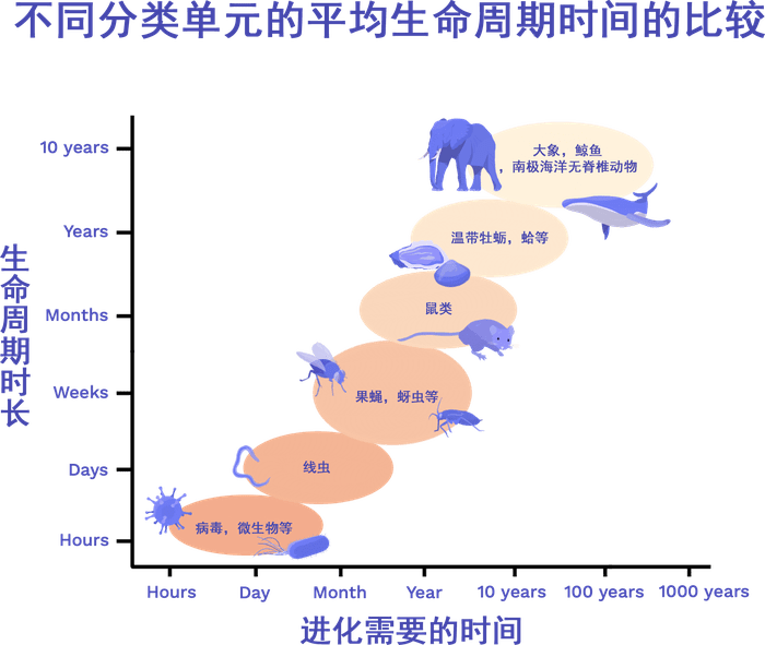 陆地生物 动植物能在气候变化中存活下来吗