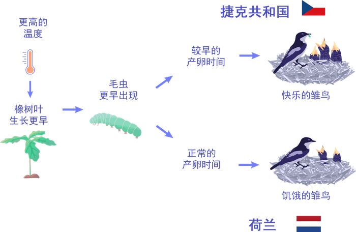 陆地生物 动植物能在气候变化中存活下来吗