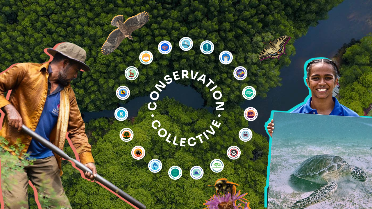 Conservation Collective