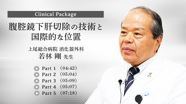 腹腔鏡下肝切除の技術と国際的な位置