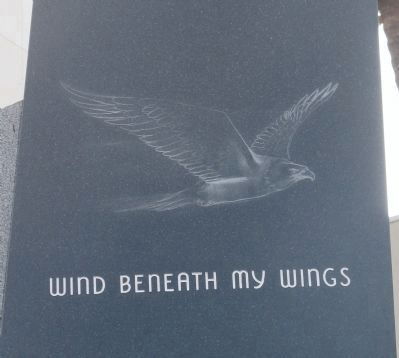 Bird, Grey, Feather, Font