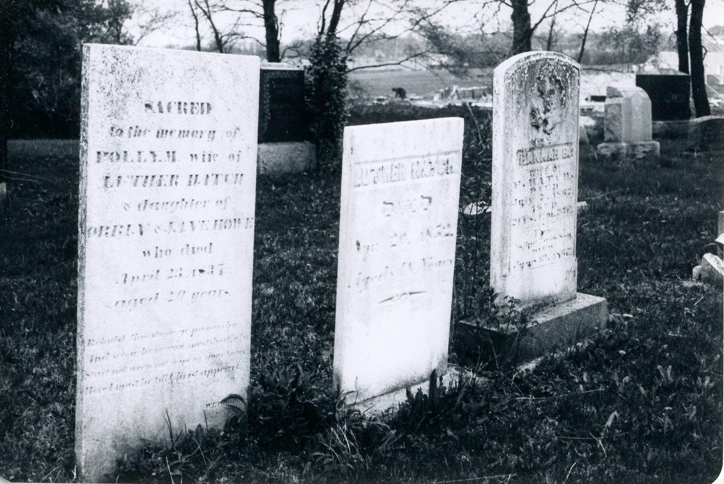 Gravestones in Lisle Cemetery, 1976