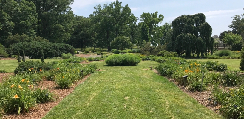 Perennial Collection at National Arboretum, courtesy of its website (public domain)