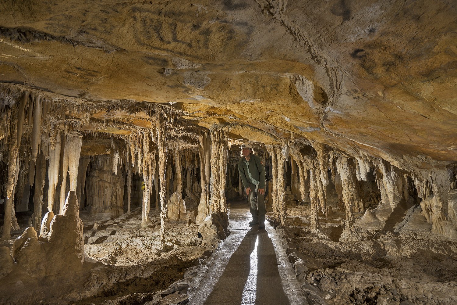 Lehman Caves is a popular attraction and features many interesting rock formations.