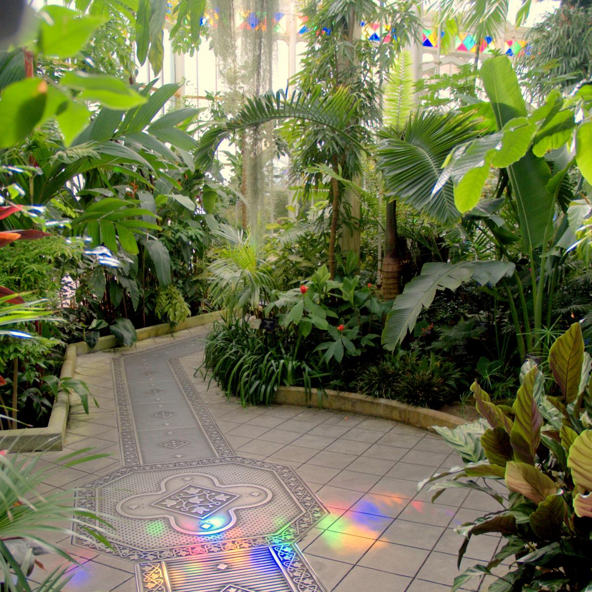 Inside the Conservatory