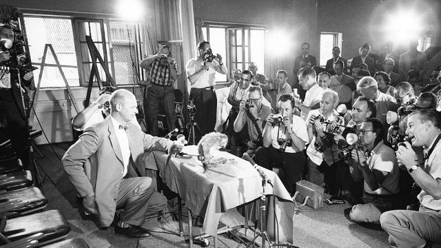 The Grave NASA Space Monkey Miss Barker - Clio