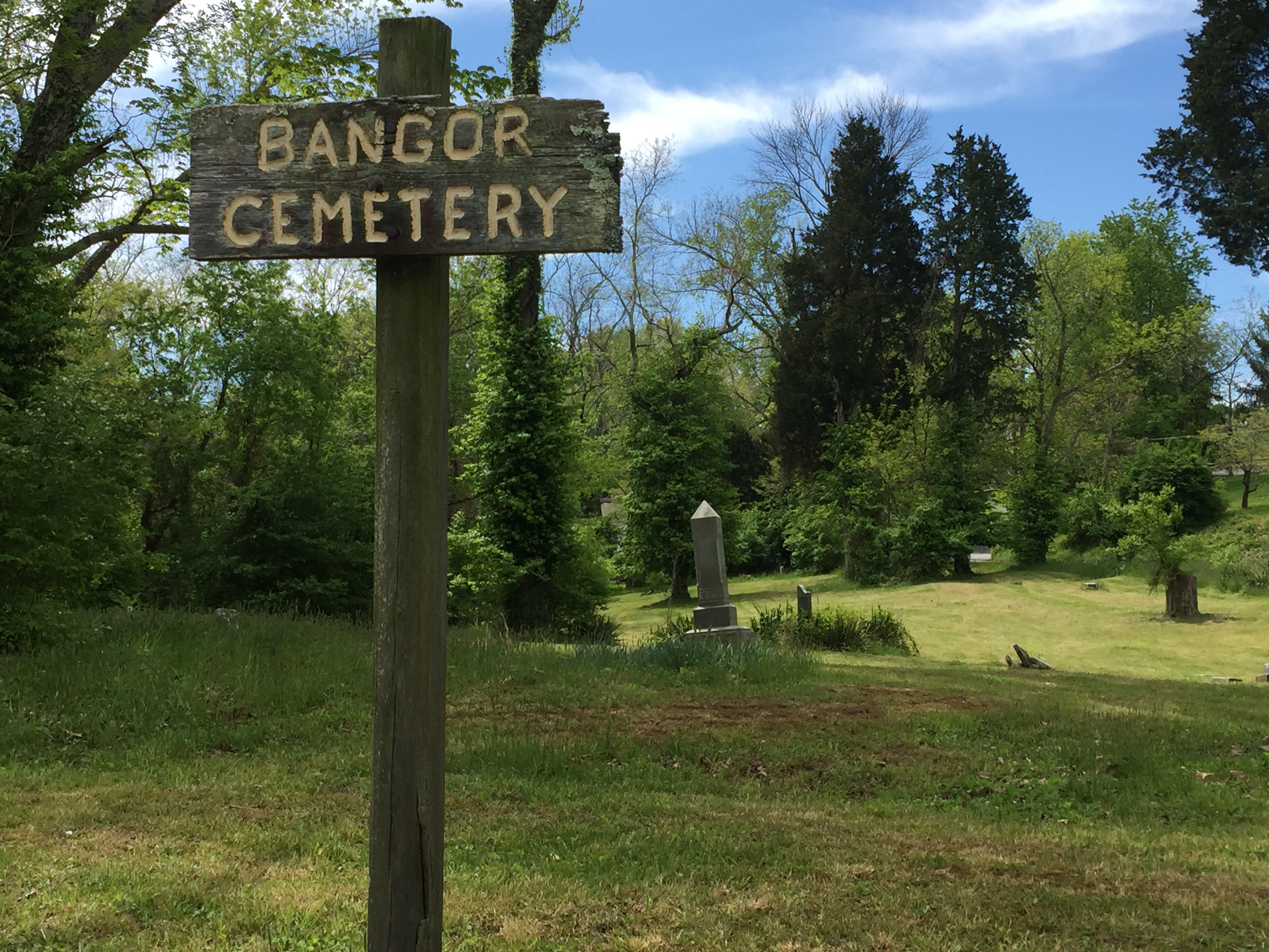 Photograph of Bangor Cemetery facing West