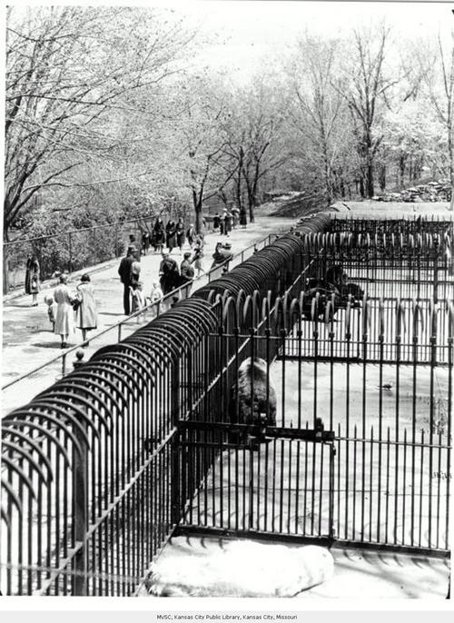 Zoo