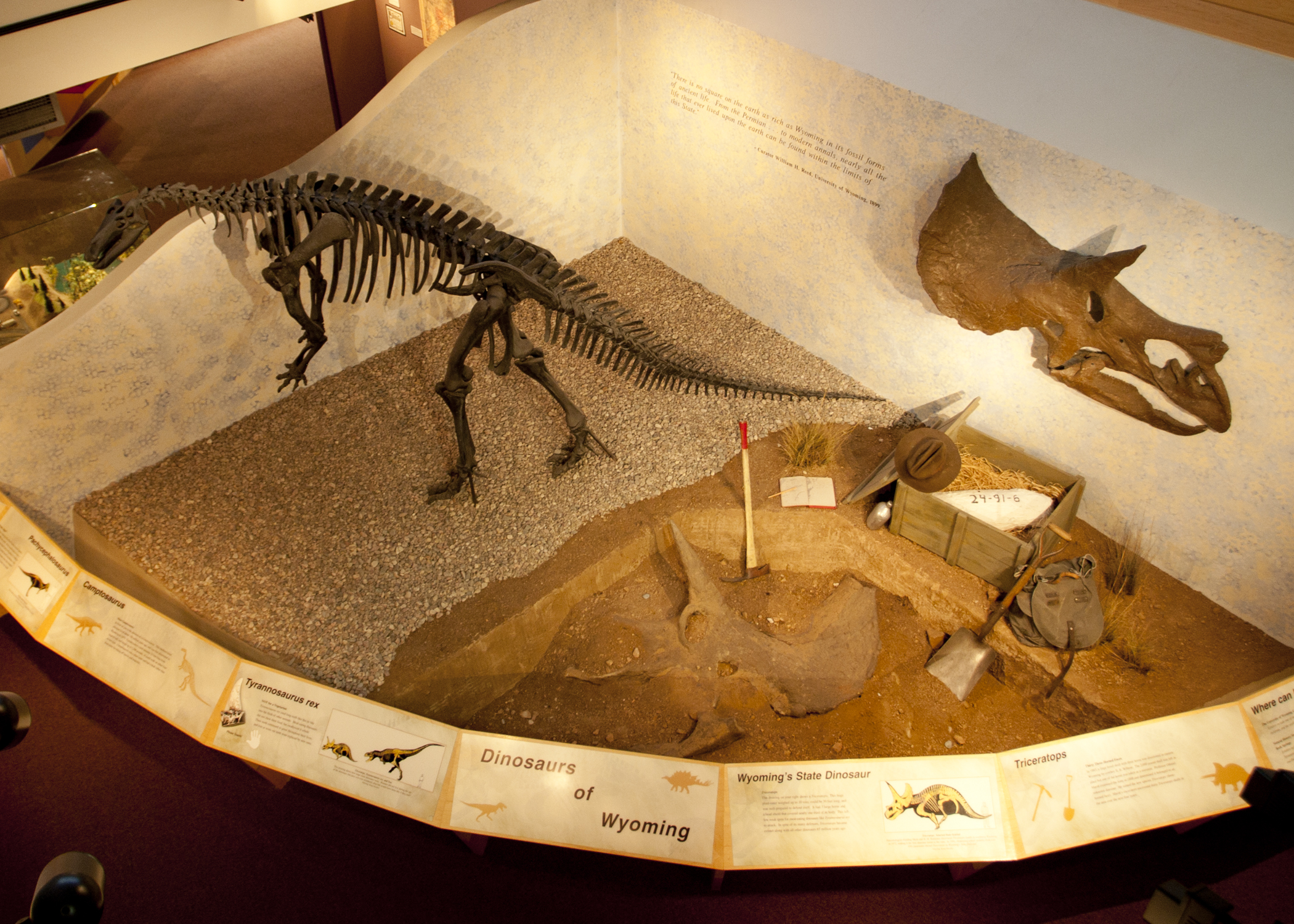 One of the dinosaur exhibits on display at the museum