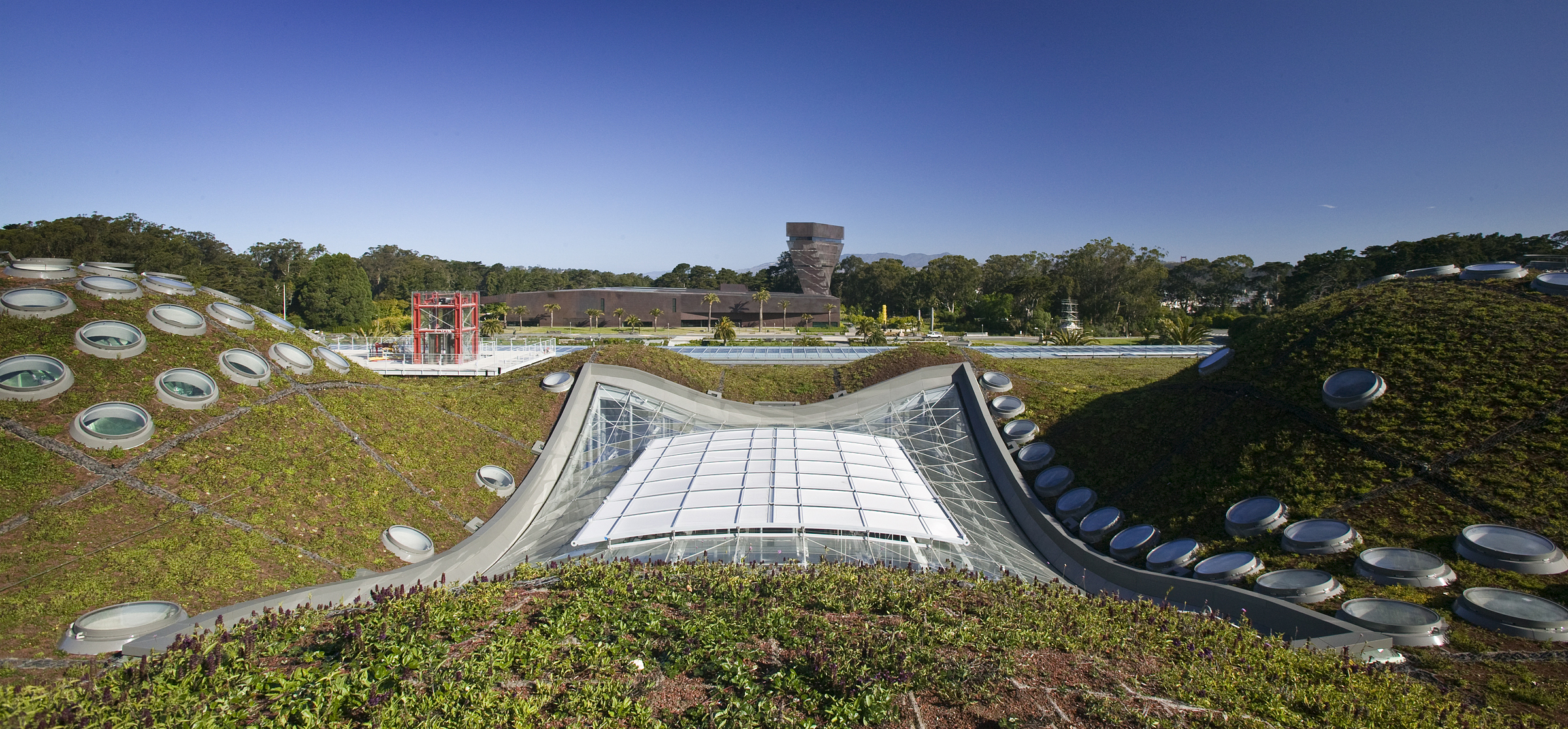 Living roof