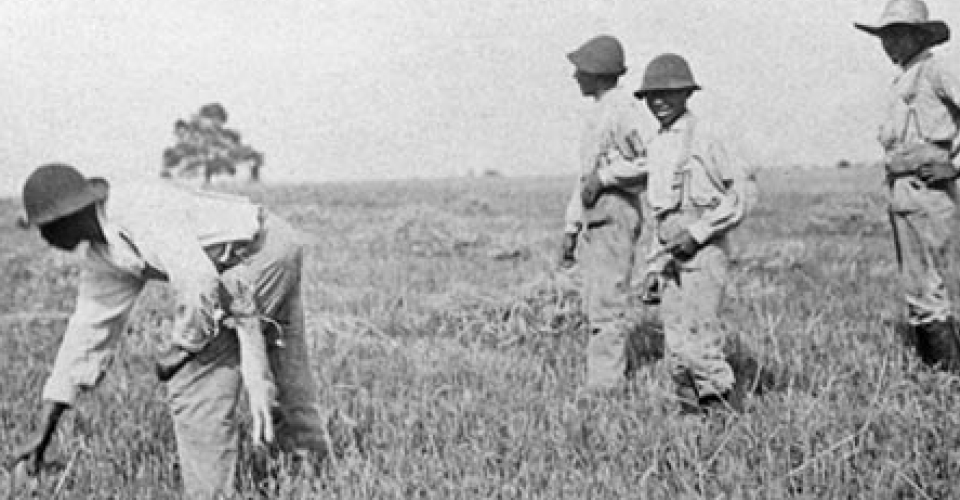 Sharecroppers working the fields of Shirley Plantation sometime after the Civil War