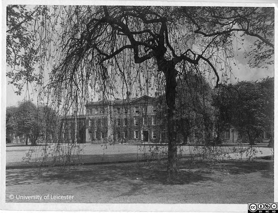 Fielding Johnson Building, 1920