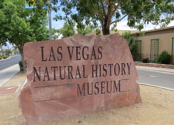 The Las Vegas Natural History Museum opened in 1991.