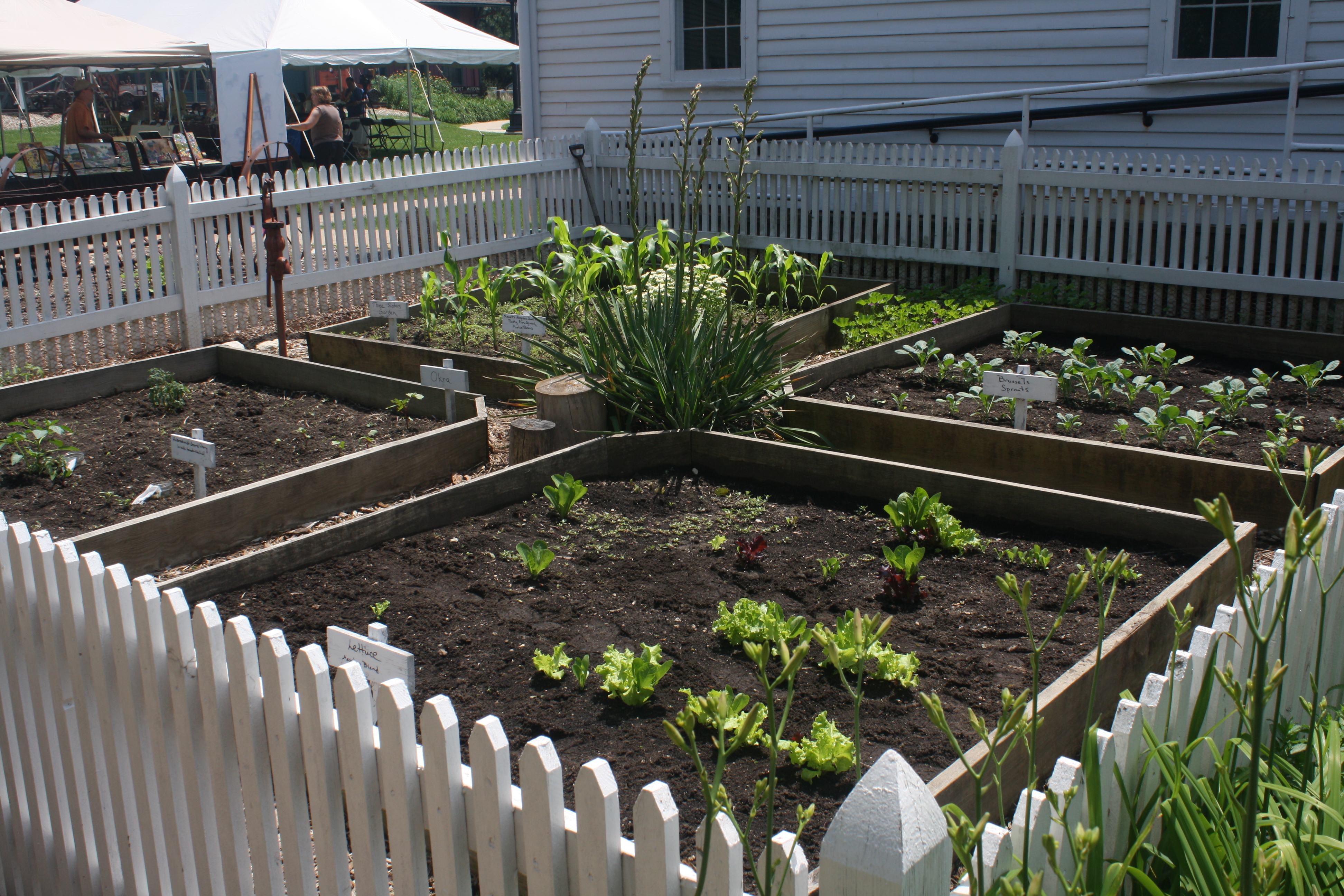 A four-square garden has four equal areas with different plantings and space between to walk and work. Notice the original water hand pump (left).
