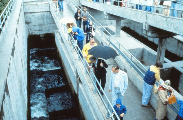 Fish Ladder Exterior View