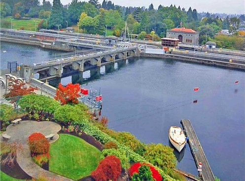 Ballard Locks Gardens