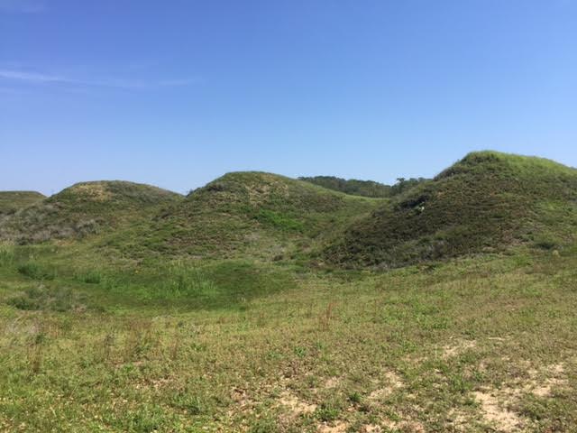 The sandy mounds of Fort Fisher which allowed the fort to absorb cannon fire