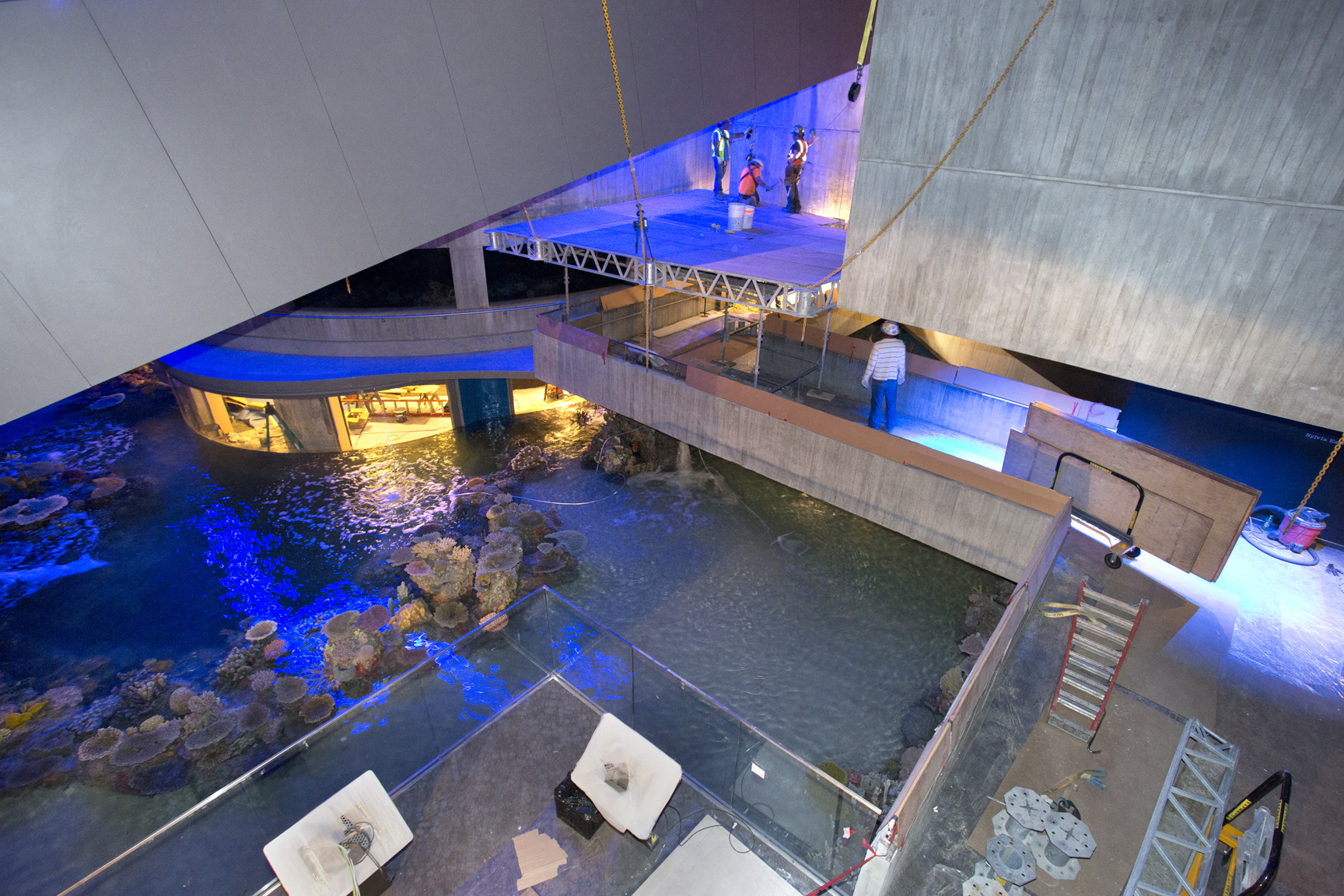 In 2013, the Blacktip Reef exhibit was added to the National Aquarium.