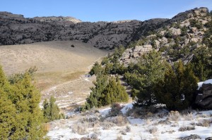 Martin's Cove