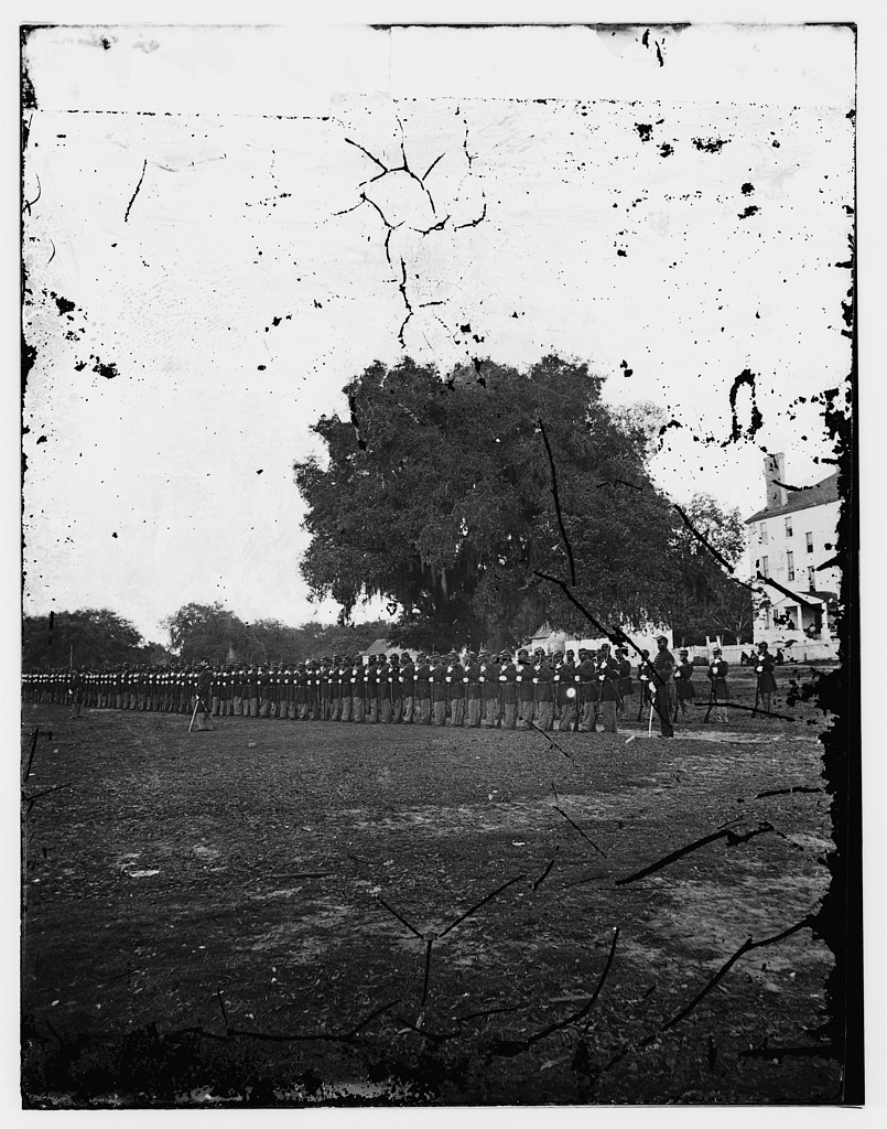 29th Regiment Connecticut Volunteers, Beaufort, South Carolina – Library of Congress, Prints and Photographs Division