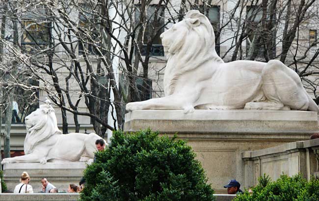 The famous lions, Patience and Fortitude, in front of the New York Public Library (Image from The-consortium/Flickr CC)