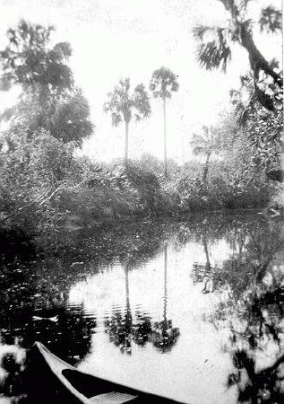 River View in Estero, Florida
