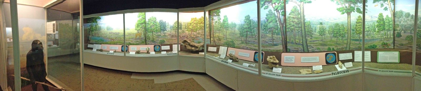 The Hall of Evolution