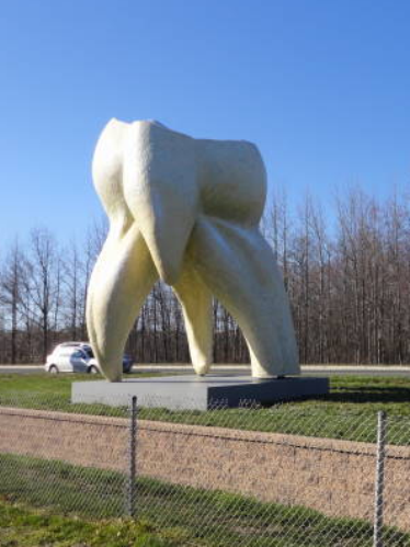 A sculpture of a giant tooth at Grounds For Sculpture.