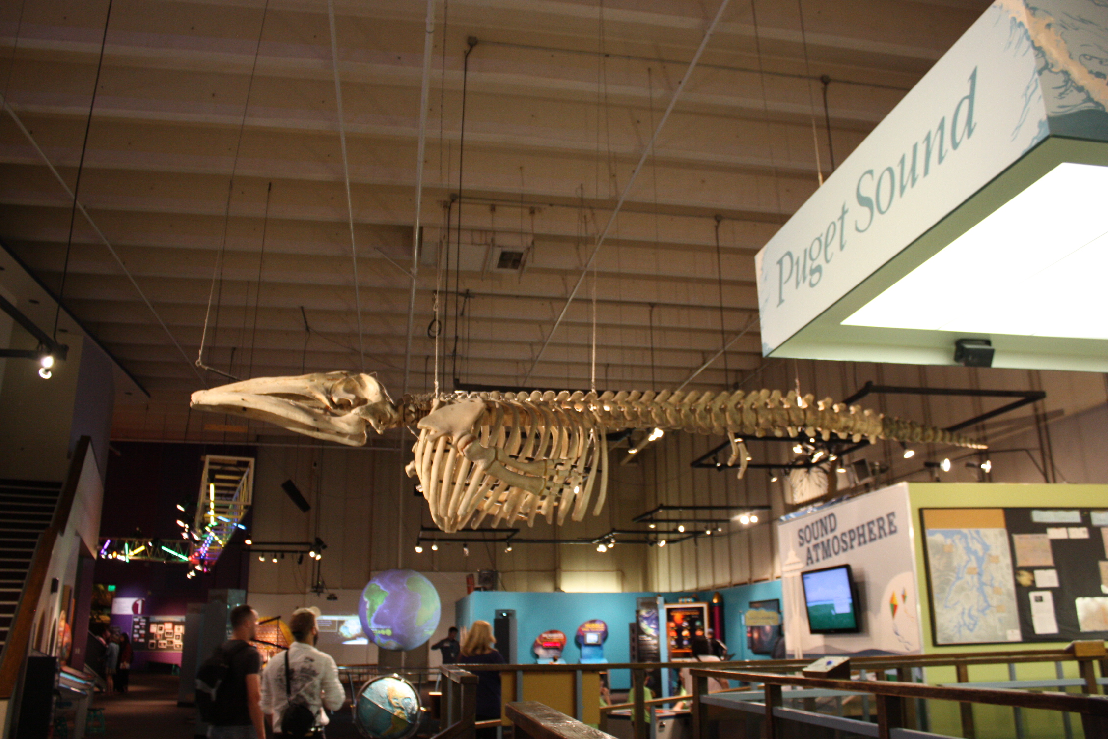 Exhibits (image from City Pass)
