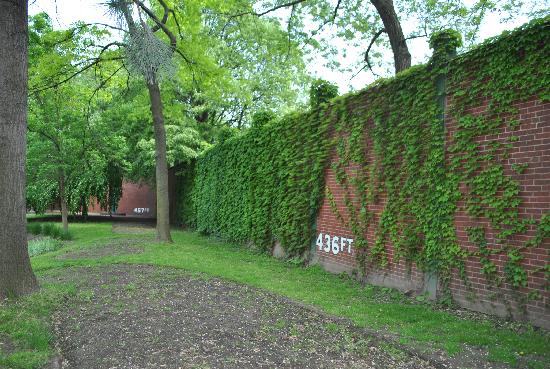 Leftfield wall from Forbes Field.