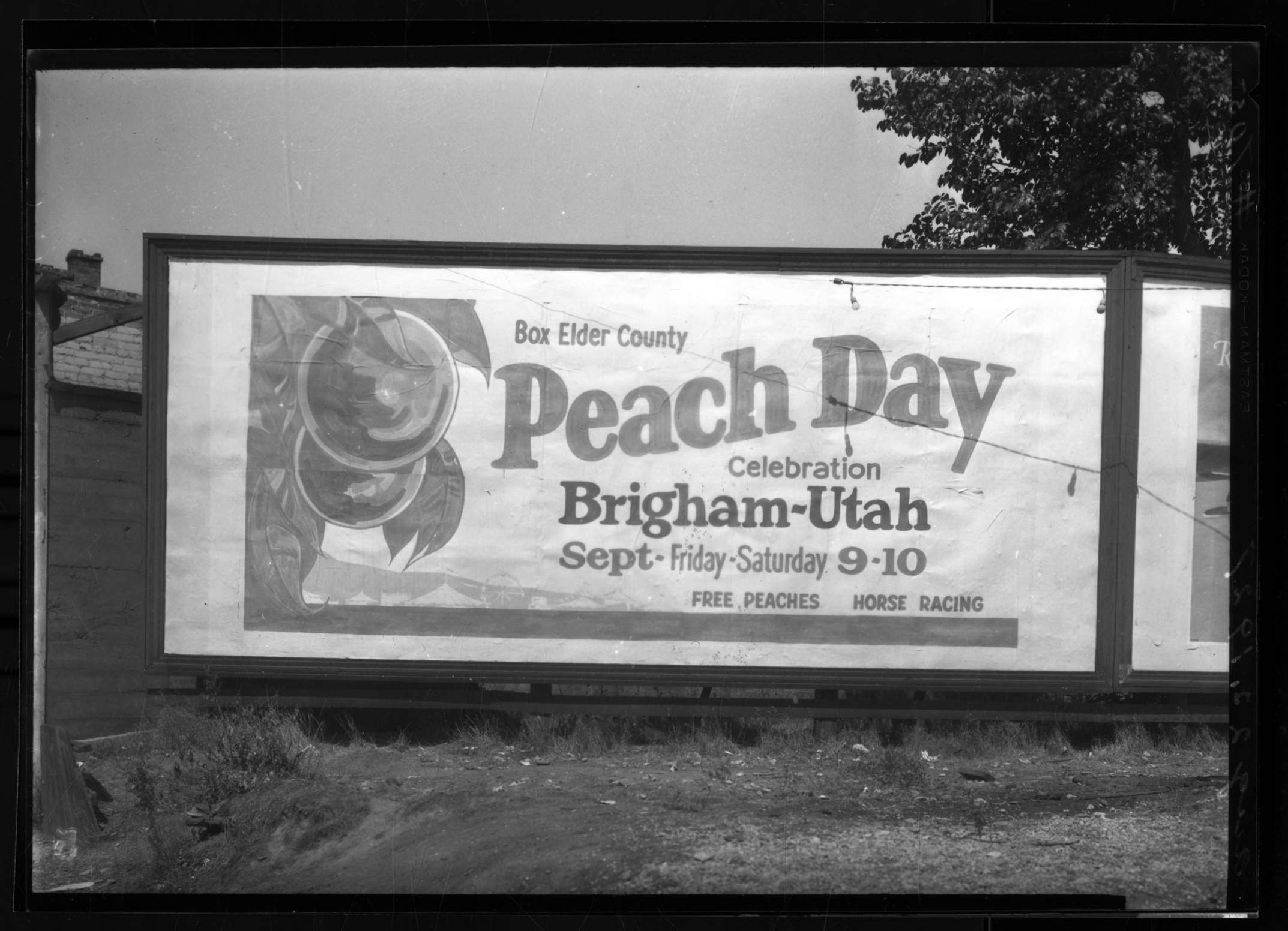 Brigham City Peach Days Clio