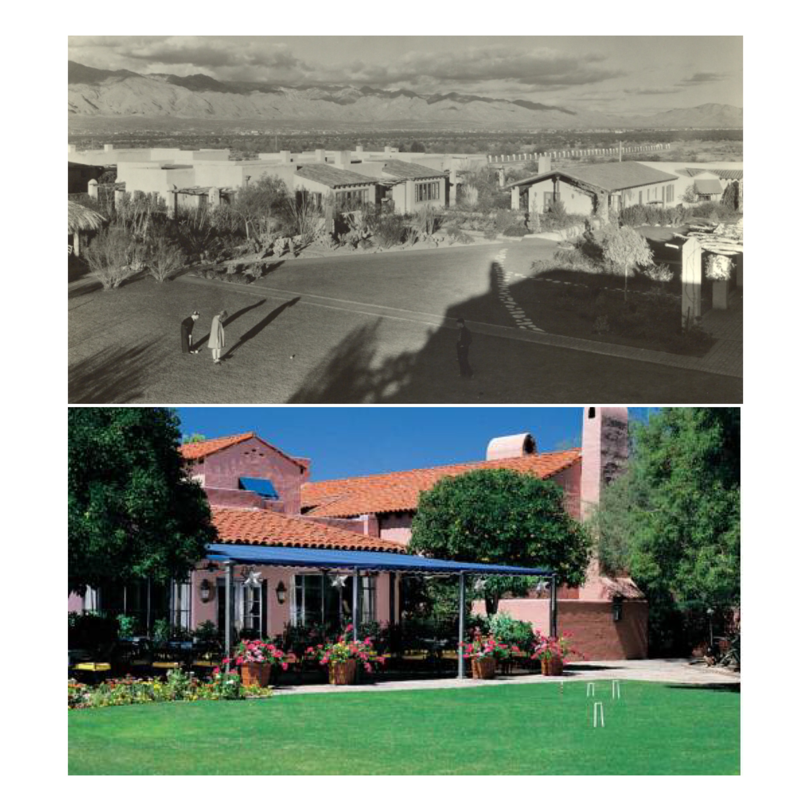 The croquet lawn, then and now.