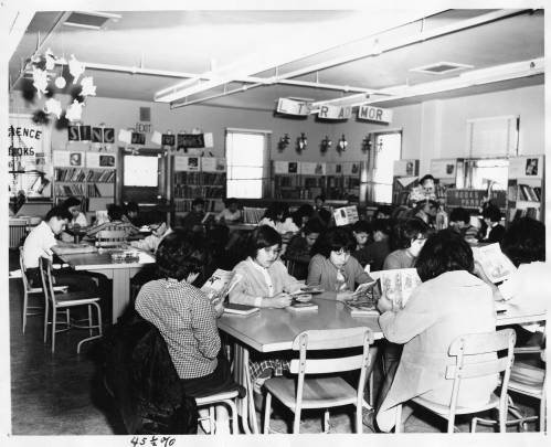 Students are seen here studying in the library. Photo Credit: Utah State University Libraries.